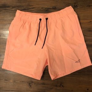 NWT Hollister 4-Way Stretch Swim Trunks